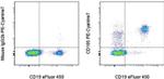 CD185 (CXCR5) Antibody in Flow Cytometry (Flow)