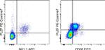 PLZF Antibody in Flow Cytometry (Flow)