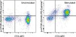 Phospho-mTOR (Ser2448) Antibody in Flow Cytometry (Flow)