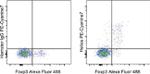 HELIOS Antibody in Flow Cytometry (Flow)