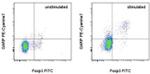 GARP Antibody in Flow Cytometry (Flow)