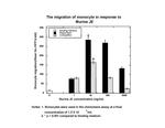 Mouse CCL2 (MCP-1) Protein in Functional Assay (FN)