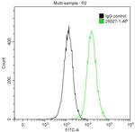 RelB Antibody in Flow Cytometry (Flow)