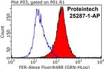 FER Antibody in Flow Cytometry (Flow)