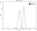 CD209 Antibody in Flow Cytometry (Flow)