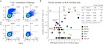 TNF alpha Antibody in Flow Cytometry (Flow)