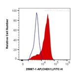 Chk1 Antibody in Flow Cytometry (Flow)