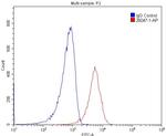 IGSF2 Antibody in Flow Cytometry (Flow)