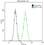 DRP1 (N-terminal) Antibody in Flow Cytometry (Flow)