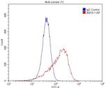 VEGF Receptor 2 Antibody in Flow Cytometry (Flow)