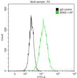 NDRG1 Antibody in Flow Cytometry (Flow)