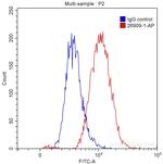 Uteroglobin Antibody in Flow Cytometry (Flow)