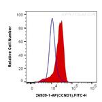 Cyclin D1 Antibody in Flow Cytometry (Flow)