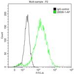 Cytokeratin 5 Antibody in Flow Cytometry (Flow)