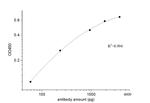 SARS-CoV-2 Nucleocapsid Phosphoprotein Antibody in ELISA (ELISA)