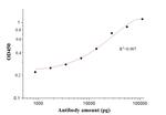 SARS-CoV-2 Envelope Protein Antibody in ELISA (ELISA)