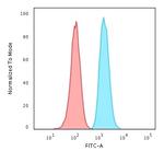 Glutathione S-Transferase Mu2 (GSTM2) Antibody in Flow Cytometry (Flow)