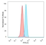 GTF2B/ TFIIB (Transcription Factor 2B) Antibody in Flow Cytometry (Flow)