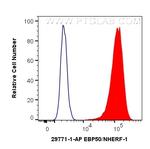 EBP50/NHERF-1 Antibody in Flow Cytometry (Flow)