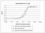 Human GM-CSF Protein in Functional Assay (FN)