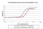 Human SCF Protein in Functional Assay (Functional)