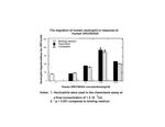 Human CXCL1 (GRO alpha) Protein in Functional Assay (Functional)