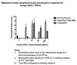 Human HCC-1 (CCL14) (66 aa) Protein in Functional Assay (Functional)