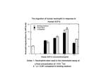 Human GCP-2 (CXCL6) Protein in Functional Assay (Functional)