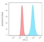 Histone H1 Antibody in Flow Cytometry (Flow)