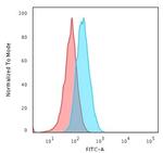 HLA-DQ (MHC II) Antibody in Flow Cytometry (Flow)