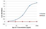 Mouse IgG (H+L) Cross-Adsorbed Secondary Antibody in ELISA (ELISA)