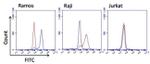 Mouse IgG Fc Cross-Adsorbed Secondary Antibody in Flow Cytometry (Flow)