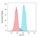 FOXA1/HNF3A Antibody in Flow Cytometry (Flow)