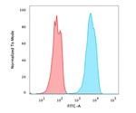 FOXA1/HNF3A Antibody in Flow Cytometry (Flow)