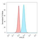 HOXB2 (Transcription Factor) Antibody in Flow Cytometry (Flow)