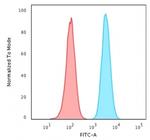 HSP60 (Heat Shock Protein 60) Antibody in Flow Cytometry (Flow)