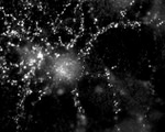 PSD93 Antibody in Immunohistochemistry (IHC)