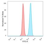 ZNF774 Antibody in Flow Cytometry (Flow)