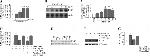 CD147 Antibody in Western Blot (WB)