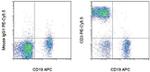 CD3 Antibody in Flow Cytometry (Flow)