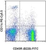 CD11c Antibody in Flow Cytometry (Flow)