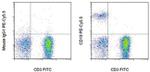 CD19 Antibody in Flow Cytometry (Flow)