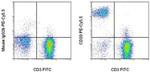 CD20 Antibody in Flow Cytometry (Flow)