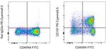 CD197 (CCR7) Antibody in Flow Cytometry (Flow)