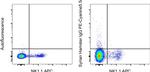 Syrian Hamster IgG Isotype Control in Flow Cytometry (Flow)