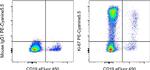 Ki-67 Antibody in Flow Cytometry (Flow)