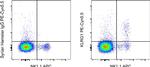 KLRG1 Antibody in Flow Cytometry (Flow)