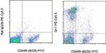 Ly-6G/Ly-6C Antibody in Flow Cytometry (Flow)