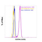 CXCR4 Antibody