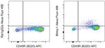 Blimp-1 Antibody in Flow Cytometry (Flow)